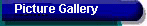 Picture Gallery