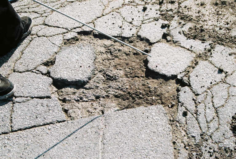Percol Alligator Glue Asphalt Repair Polymer