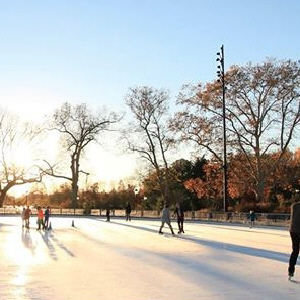 Ice Rink Hockey Liners For Less